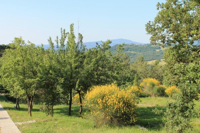 Agriturismo Podere Costarella Radicondoli الغرفة الصورة